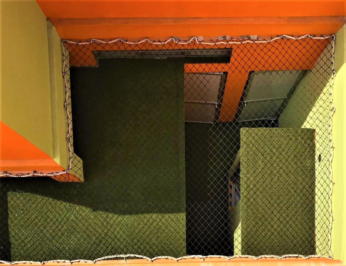 לימה Happy Tree Hostel Peru מראה חיצוני תמונה